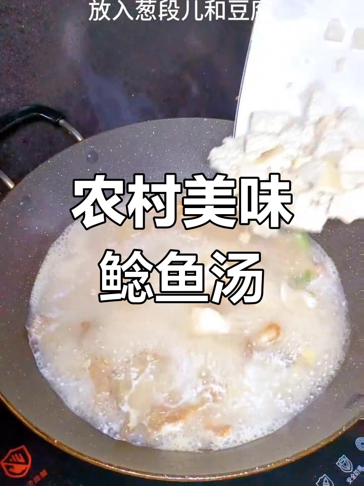 鲶鱼豆腐汤的家常做法