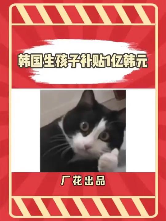 别人生孩子给1个亿补贴,这才是真正想让人生孩子,不是意思意思 生孩子 韩国生孩子给55万人
