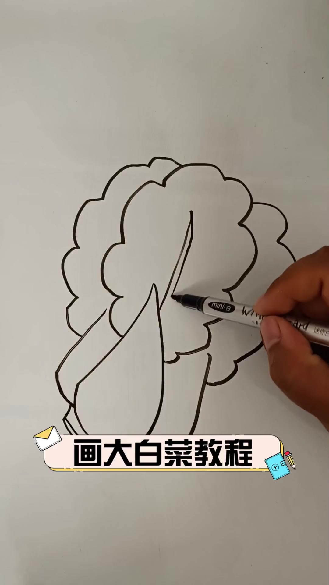画大白菜教程
