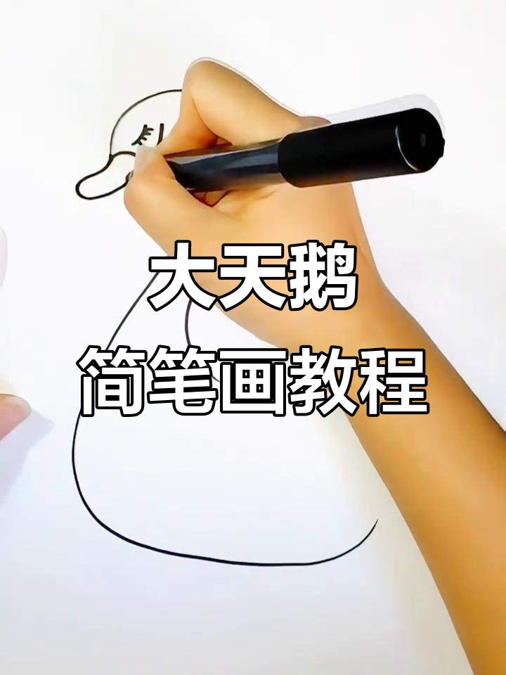 轻松学画白天鹅，简单步骤教你画出可爱大天鹅