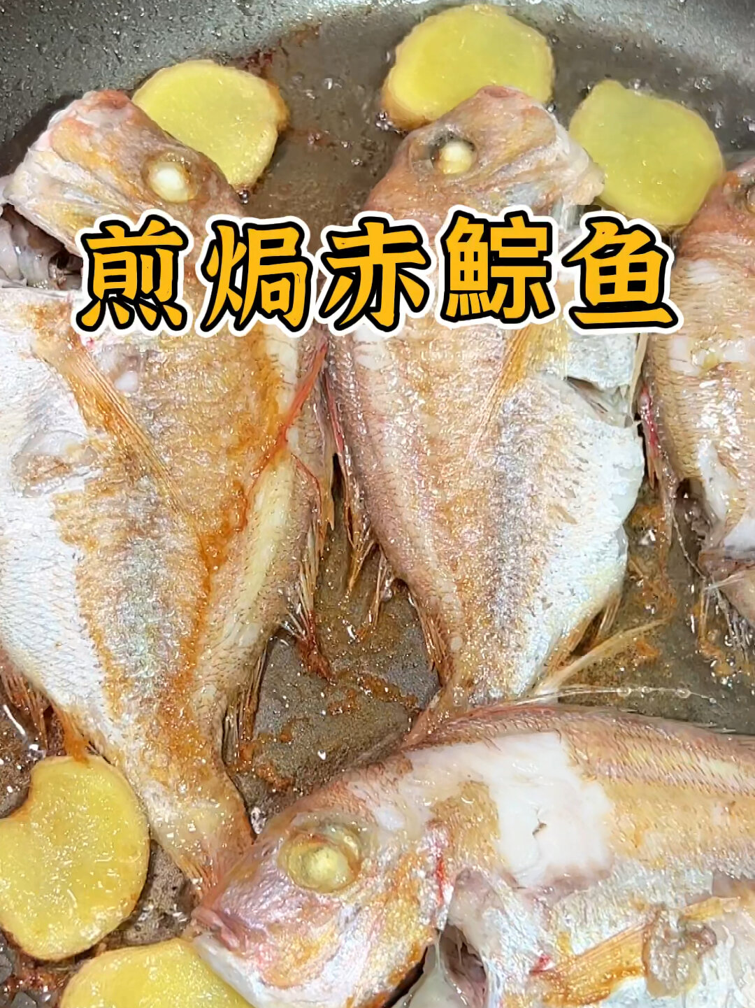潮汕家常菜煎焗赤鯮鱼,鱼肉鲜嫩又香口