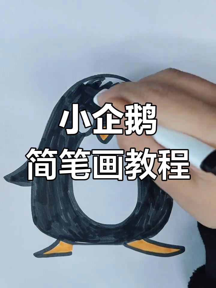 轻松画出可爱小企鹅,步骤简单又有趣
