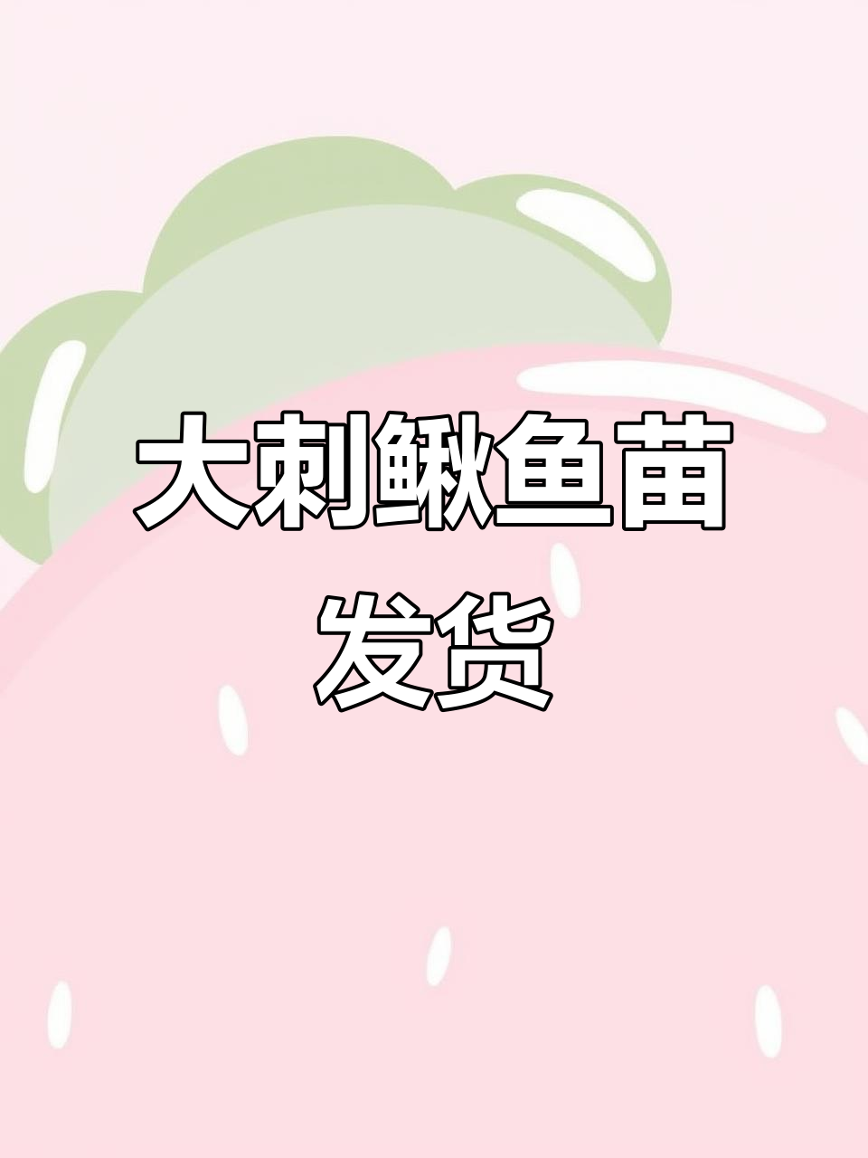 人工繁育大刺鳅鱼苗,七千条打包发往贵州