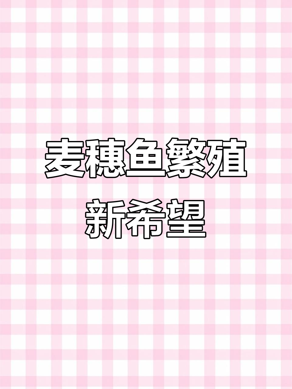 麦穗鱼产卵了,变异基因能否成功孵化?
