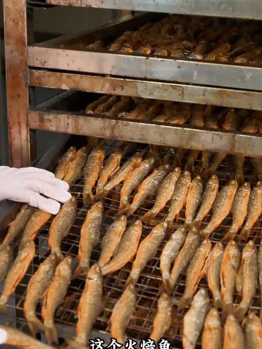 湖南正宗火焙鱼,柴火慢慢烤干的,米糠烟熏的很香,干净去了内脏。湖南特产 工厂自产自销 刁子