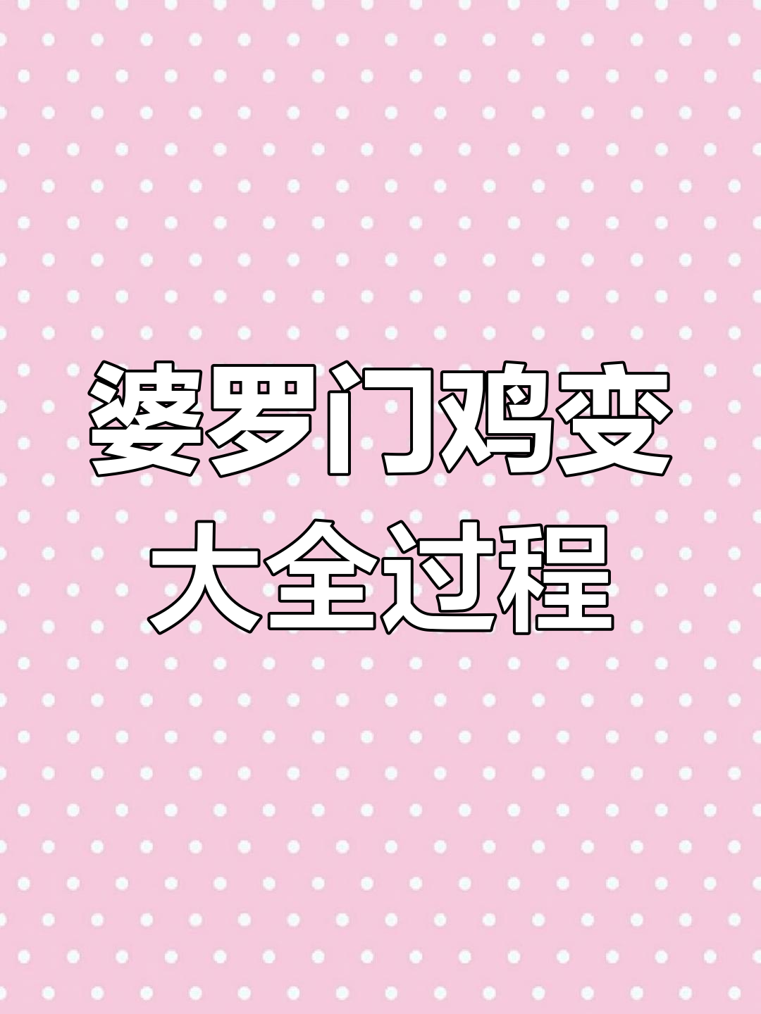 婆罗门巨型鸡成长记:从小可爱到大威武,你愿意养吗?