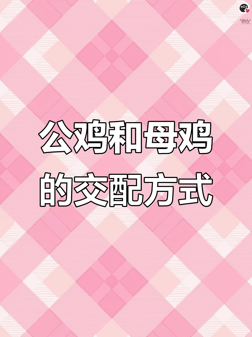 公鸡如何与母鸡交配?揭秘高效生殖系统