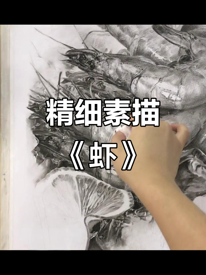江振坤精微素描:虾的黑白世界,细节之美尽显
