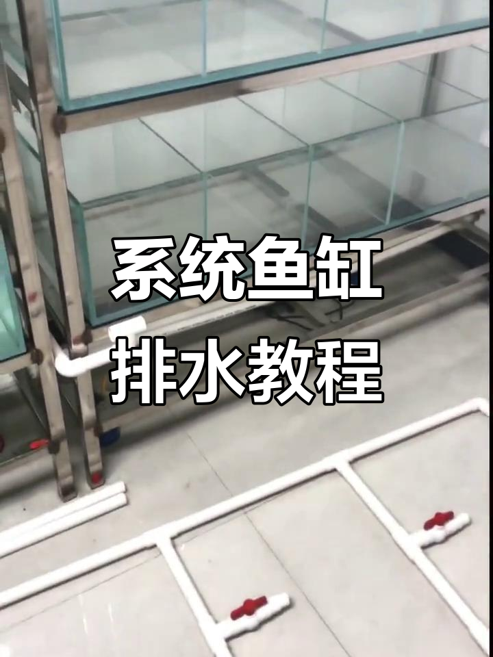 鱼缸排水系统安装全攻略,轻松搞定!