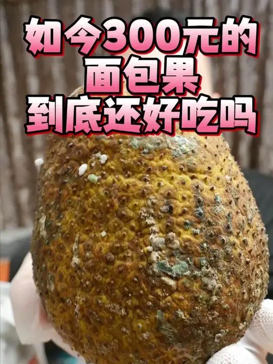 300 元天价面包果3种吃法实测！到底是智商税还是真的好吃？