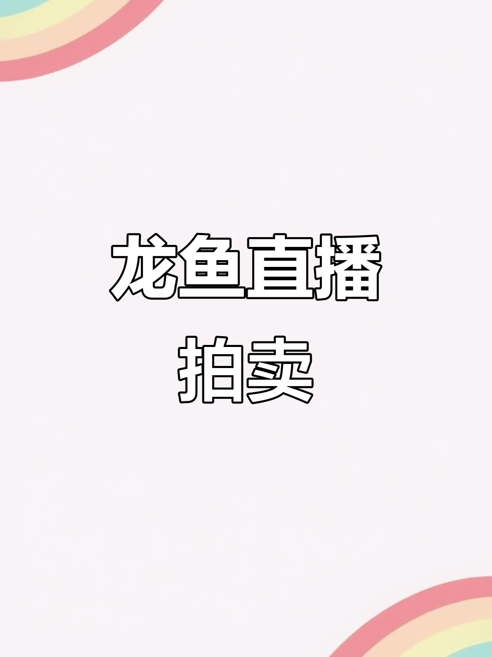 小玉直播间带你玩转龙鱼,经典小金龙与紫罗兰底展示