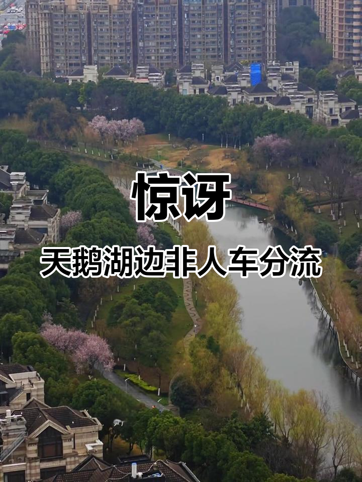 天鹅湖别墅区竟然不是人车分流,太意外了!