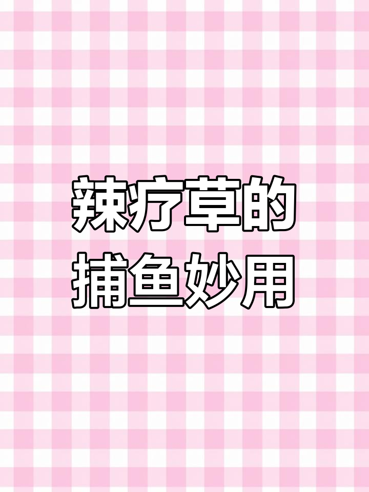 醉鱼草捕鱼的神奇作用,钓鱼爱好者必看