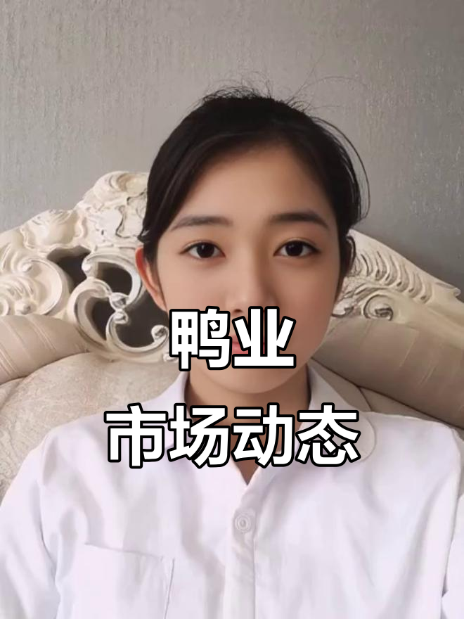 鸭苗价格持续上涨,种蛋及商品鸭价波动