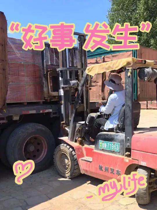 内蒙古烧结砖厂家 辽宁透水砖生产厂家 高强度无色差抗冻面包砖