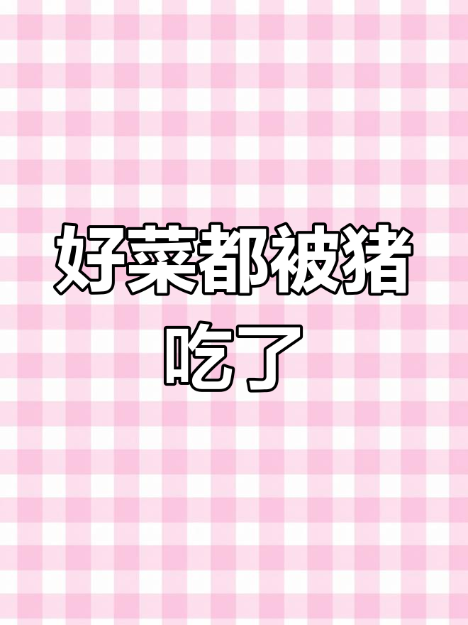 猪拱白菜,笑到不行!情侣日常搞笑互动