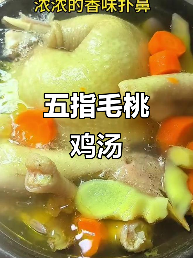 五指毛桃炖老母鸡,汤水清甜椰香满满,滋补养生必试