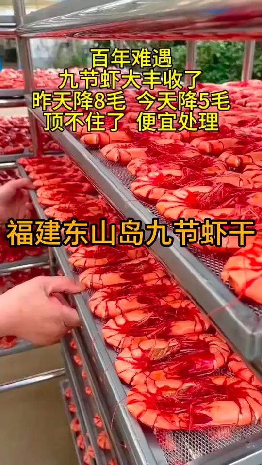 当你嘴巴馋不知道吃什么的时候,就来试试这个九节虾干吧,营养又美味哦