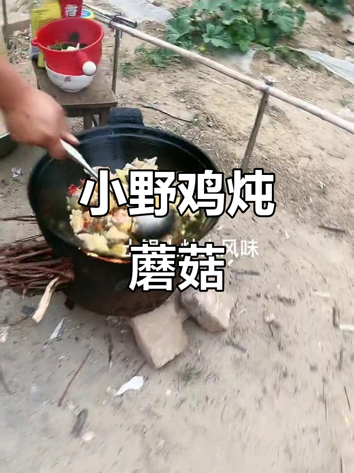 农家乐小野鸡炖蘑菇,蛋炒饭也能这么有仪式感