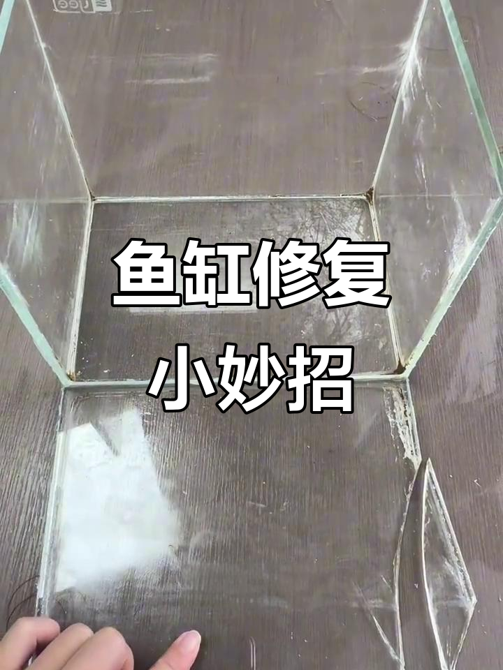 鱼缸破损?用钓鱼线轻松修复,避免直接接触碎玻璃!