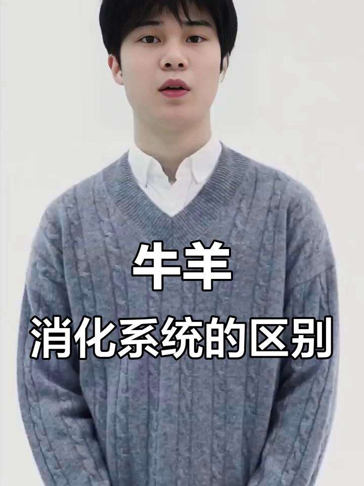 牛和羊的消化系统到底有何不同?揭秘它们的胃部差异