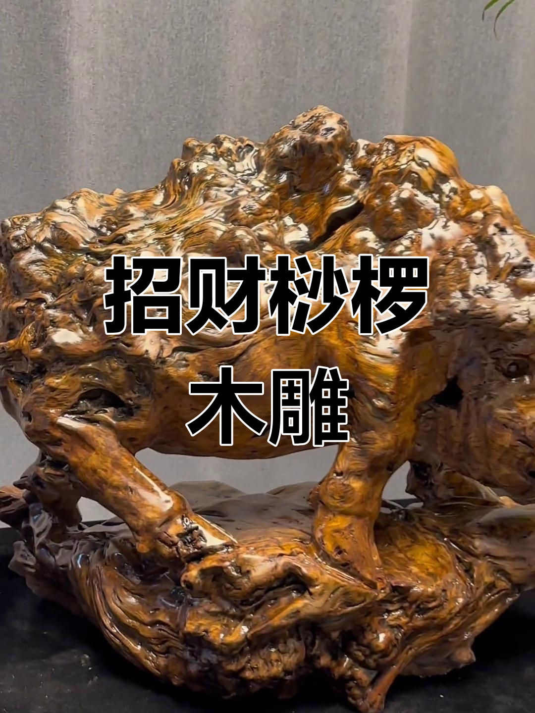 桫椤木雕猪,招财寓意独特,根艺精品,尺寸惊人