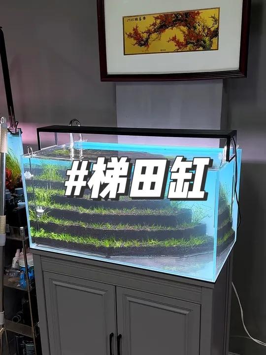 开一个梯田造景的水草缸、全部制作过程、超详细教程、鱼缸里的大自然 水草缸 造景 玻璃中的大