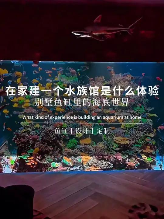 在家里建一个水族馆,是一种什么样的体验?别墅鱼缸 鱼缸定制 大型鱼缸制作 水族馆 鱼缸设计