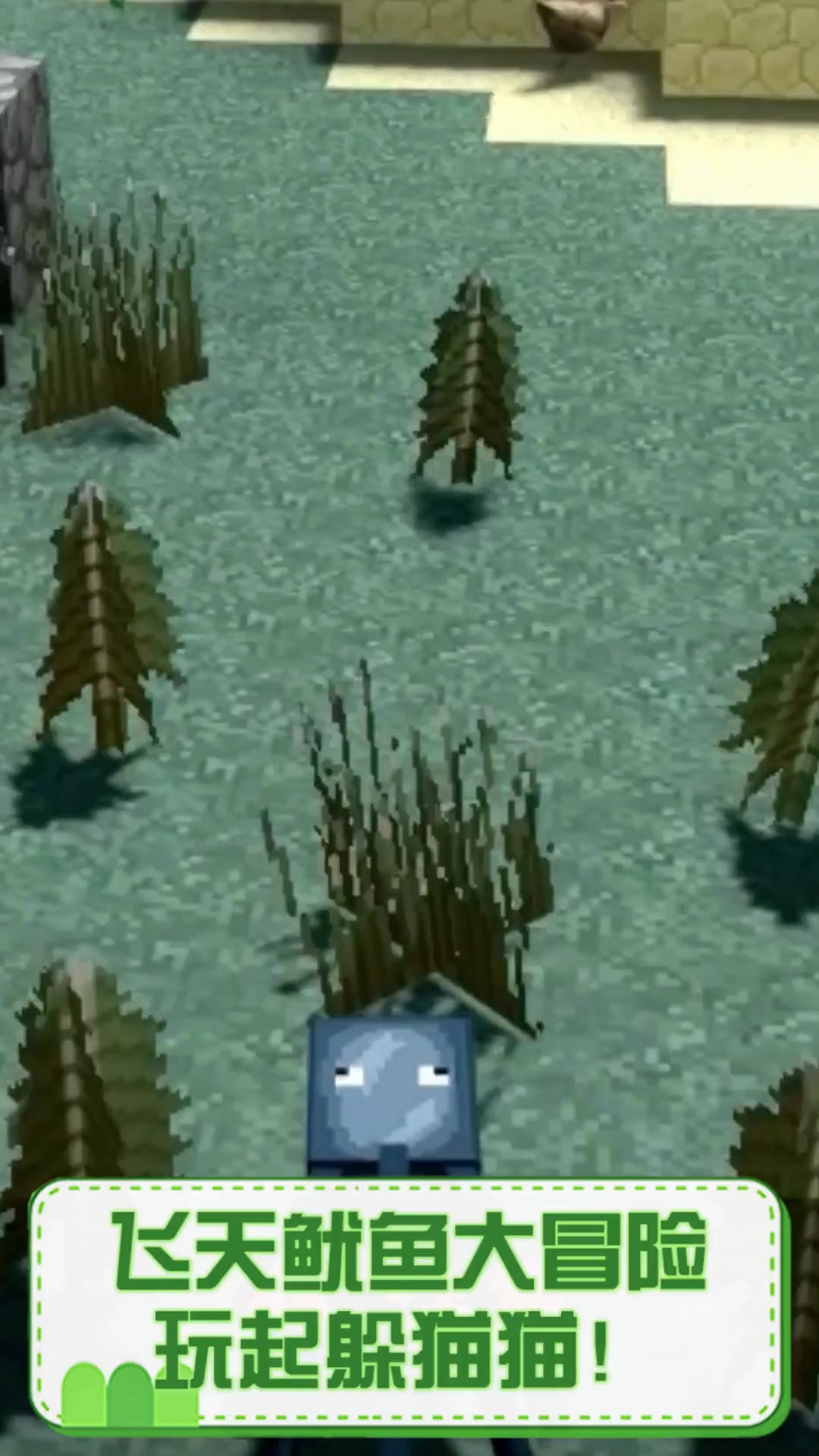 飞天鱿鱼大冒险,玩起躲猫猫!