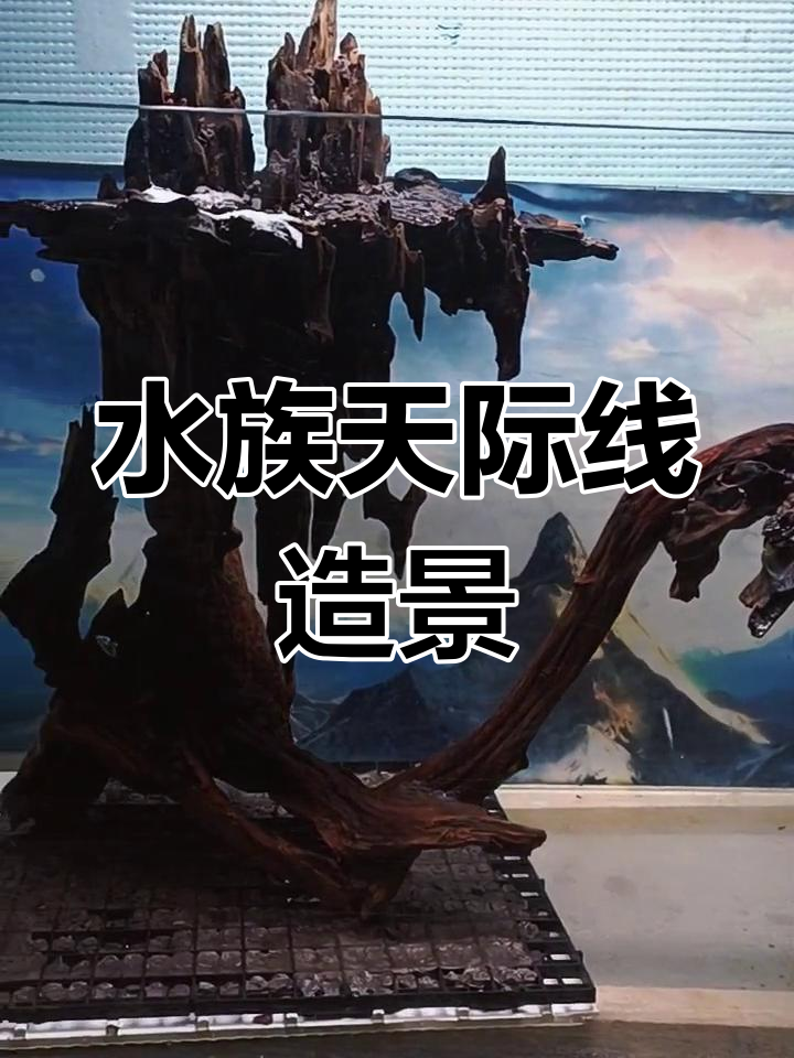 天空之城水族造景,悬浮山与虾木骨架