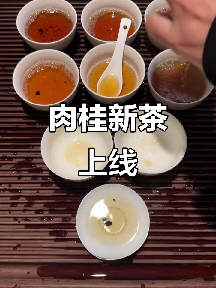 新品上市，肉桂岩茶香气浓郁，泡沫丰富