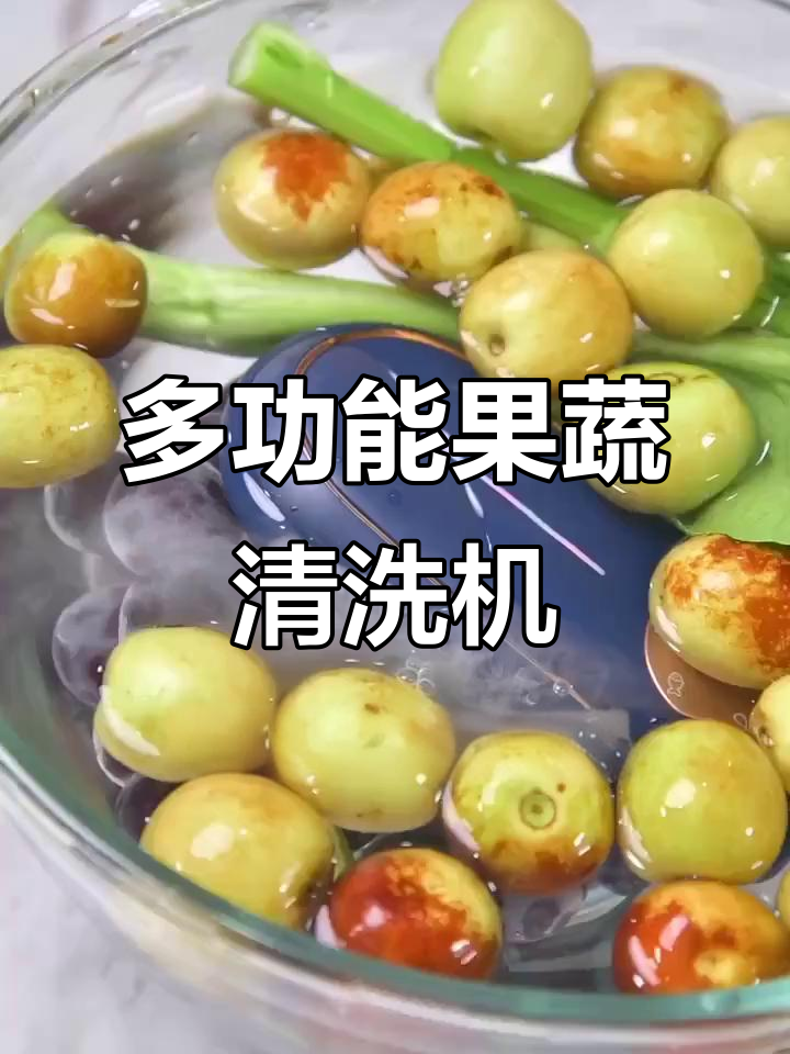 德国欧瑞氏果蔬清洗机,五种模式一键搞定