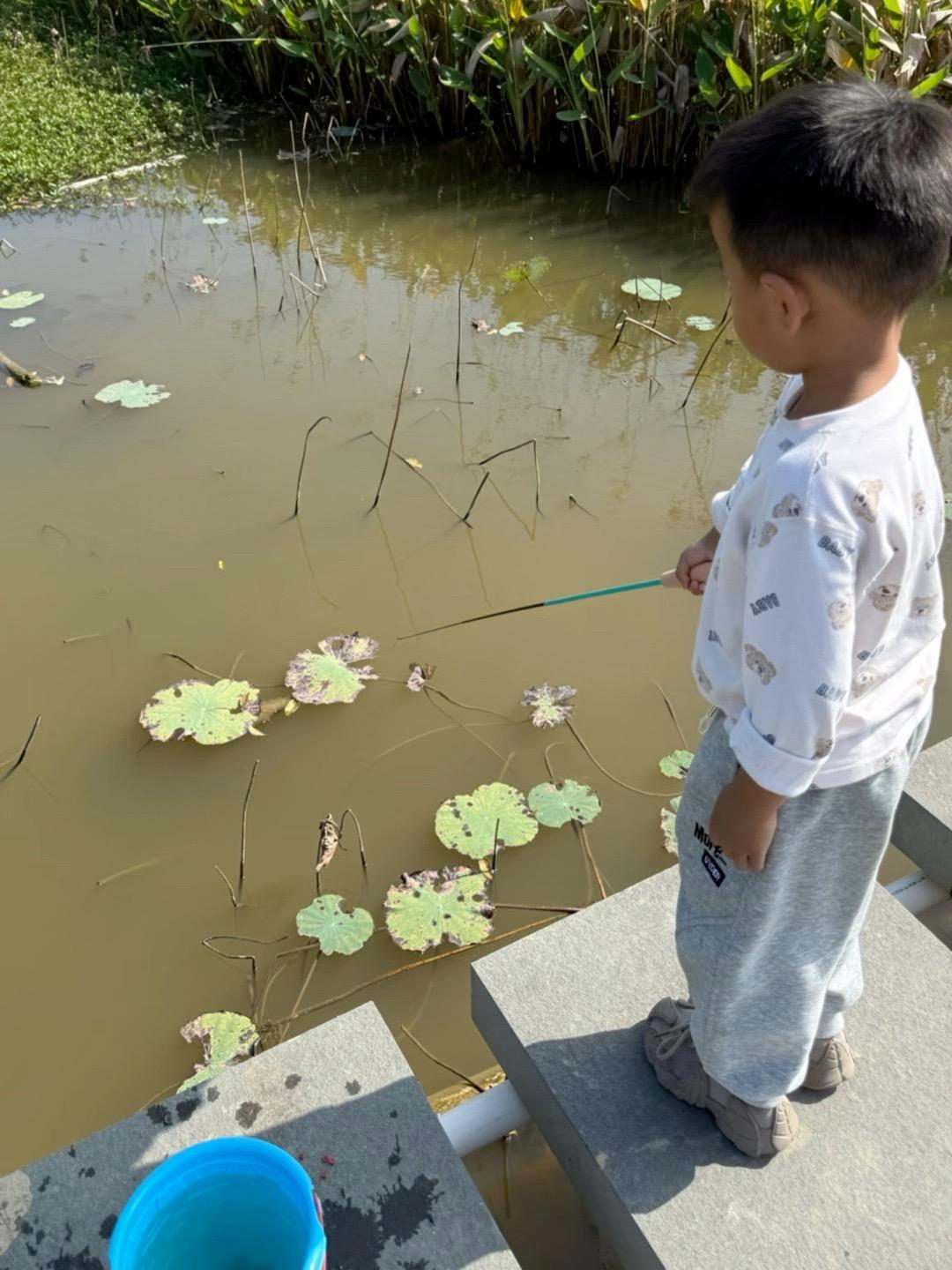 儿童钓鱼玩具 钓鱼 原创视频 三岁多就会钓鱼了、哈哈!一条接一条!厉害!记录生活 户外