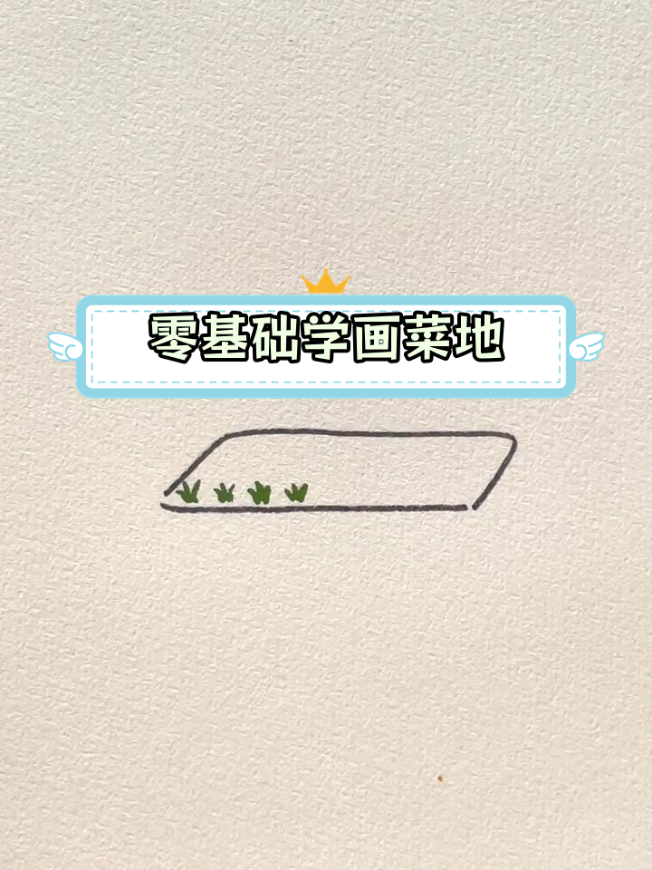 10秒画出菜地,学会等待与享受过程