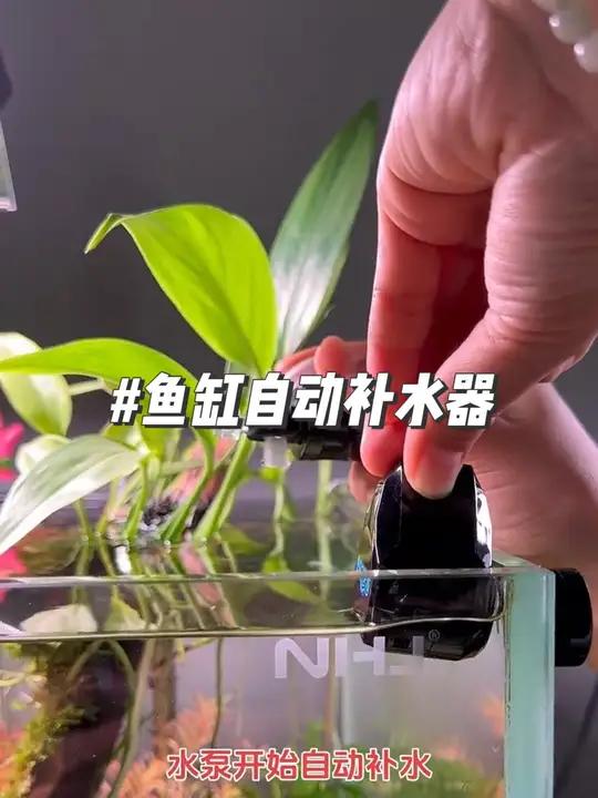 鱼缸自动补水器 鱼缸高端自动补水器