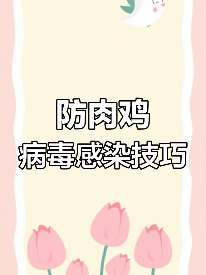 如何防止肉鸡病毒入侵,保护电脑安全