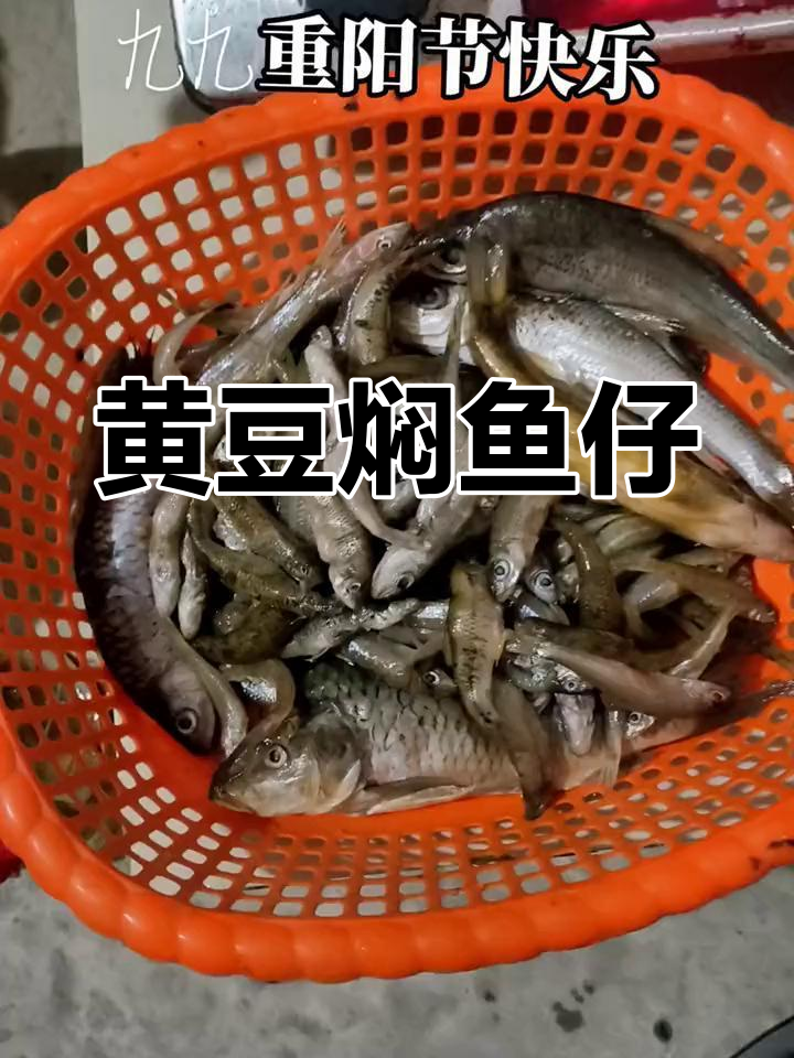 广西独特黄豆焖鱼仔,酒桌必备的“灵魂”菜肴
