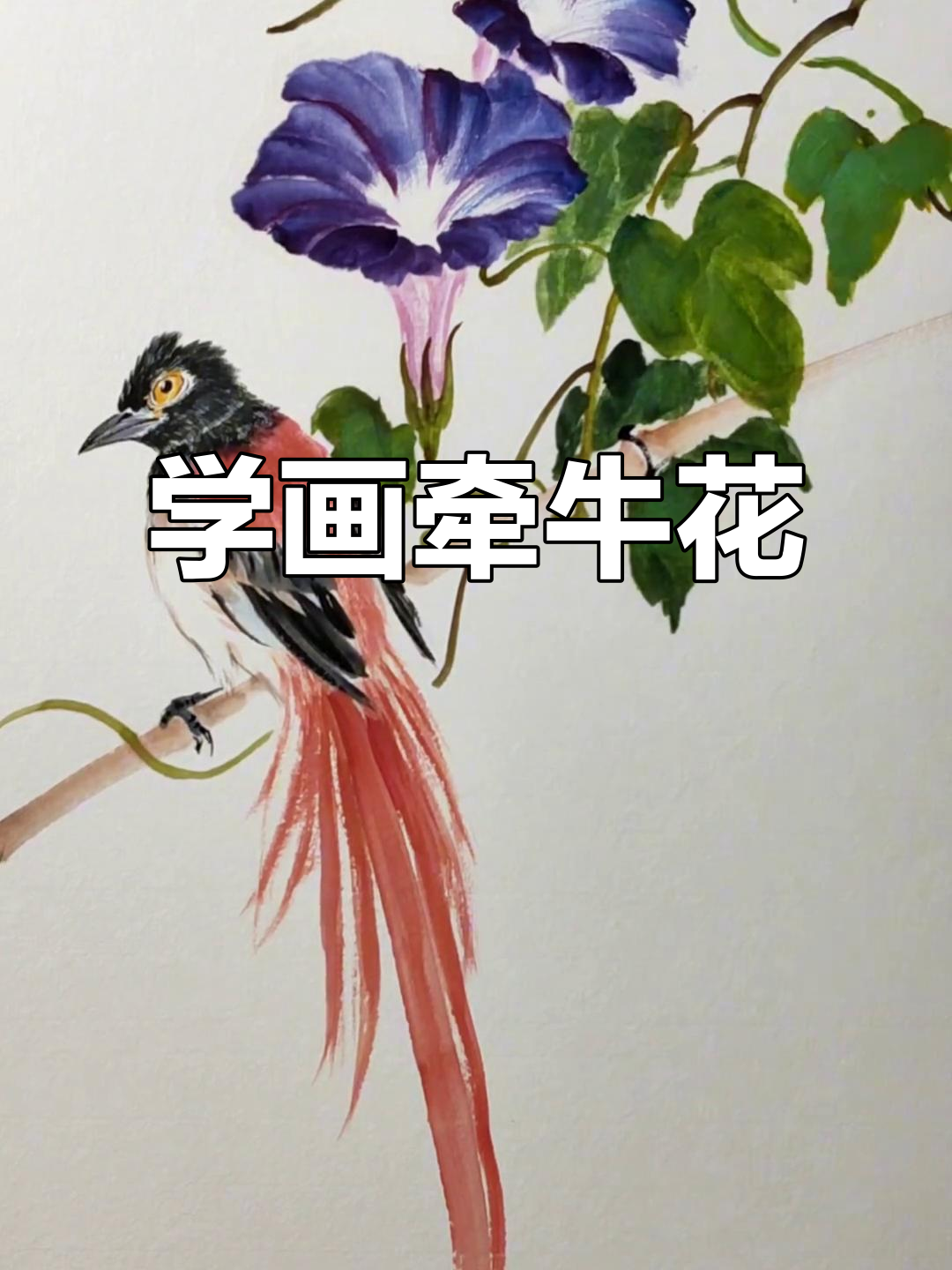 牵牛花国画技巧:从花瓣到藤蔓的完美呈现