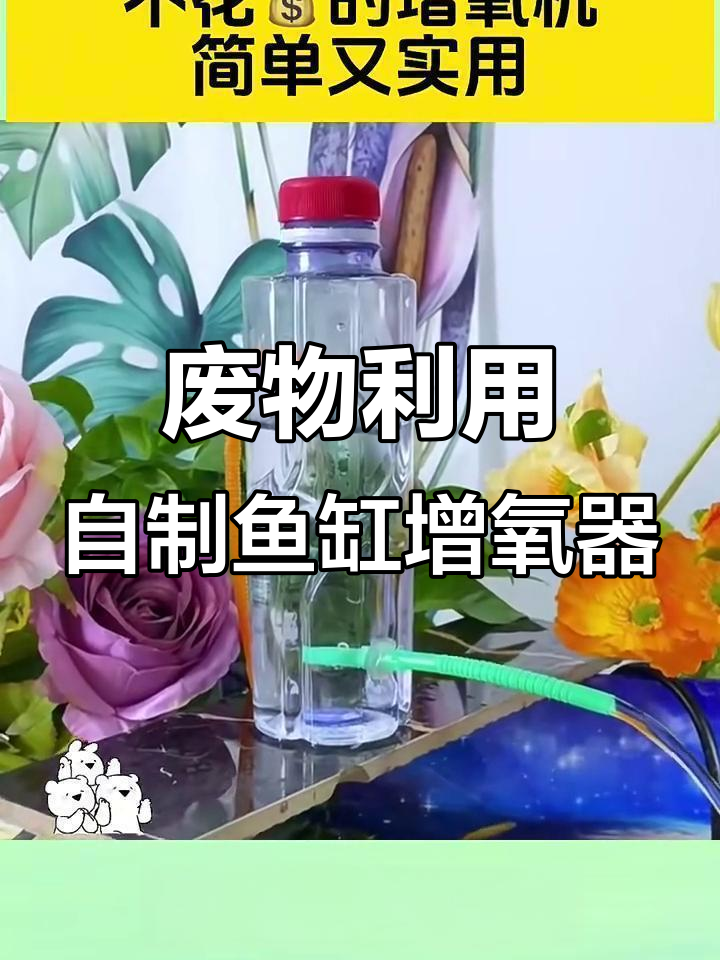 用废旧饮料瓶做增氧机,简单又环保