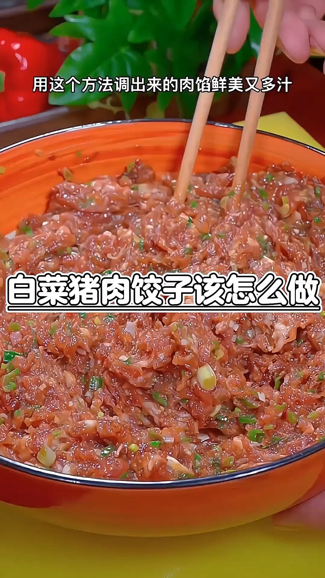 白菜猪肉馅饺子怎么做鲜香味美好吃