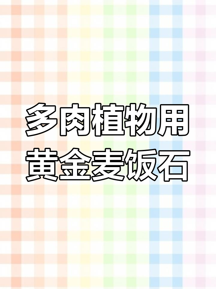 黄金麦饭石助力多肉控养,轻松上色不徒长