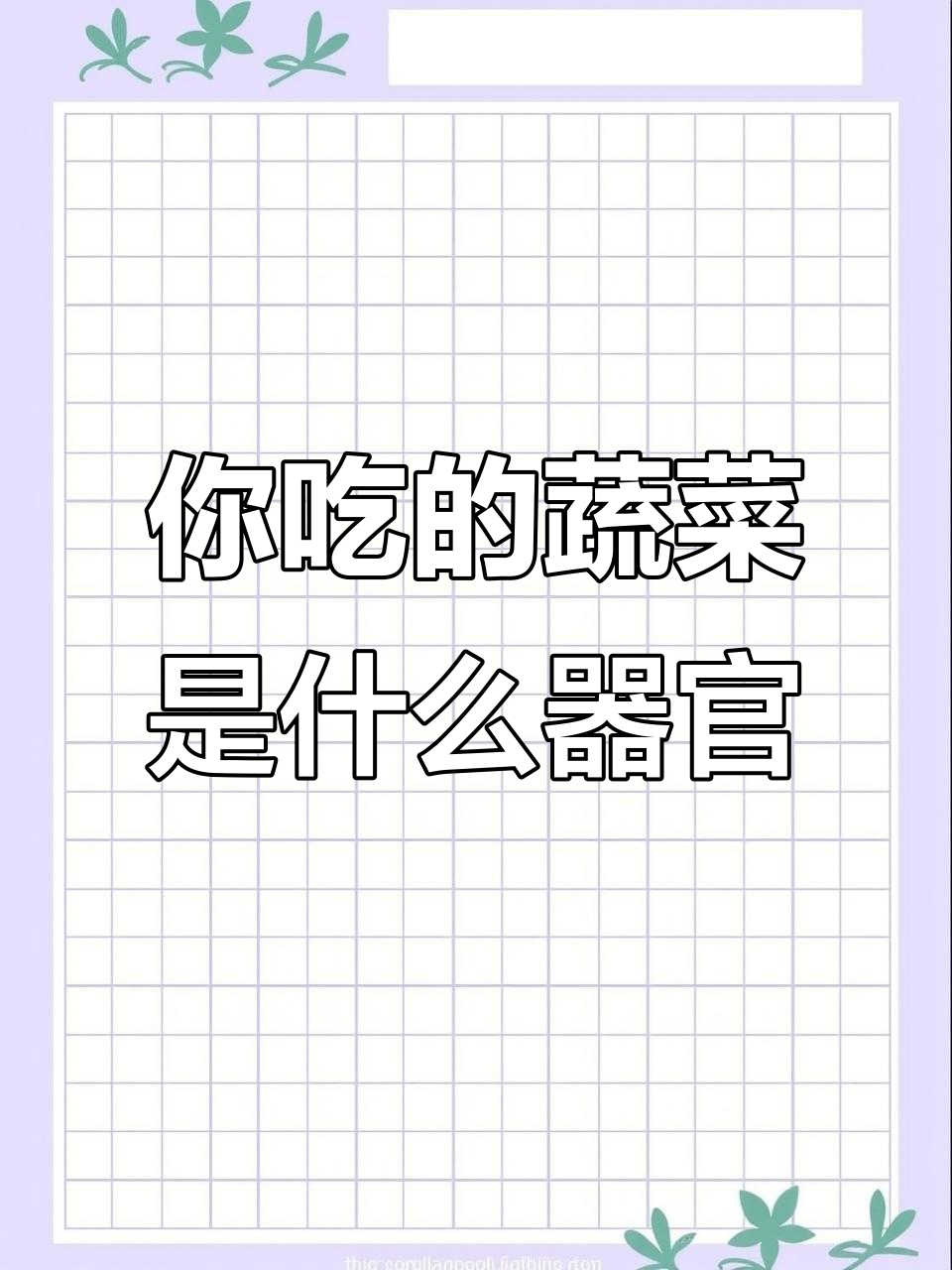 蔬菜水果到底吃的是啥？根茎叶还是花果实种子？