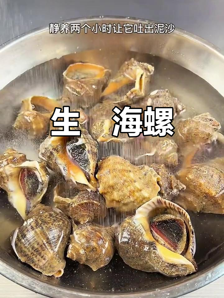 纯天然野生海螺新做法,生焗十分钟鲜味十足