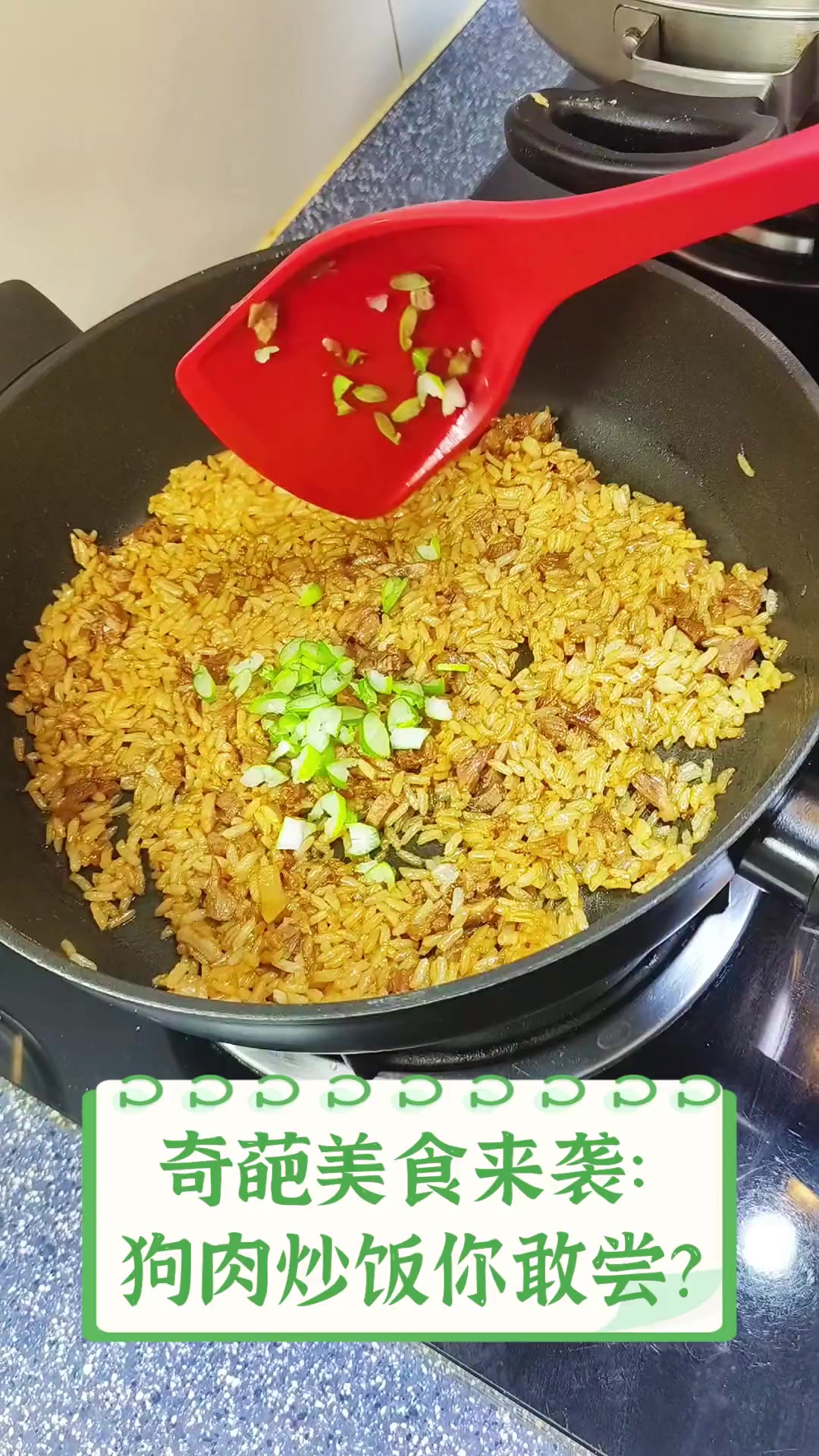 奇葩美食来袭:狗肉炒饭你敢尝?