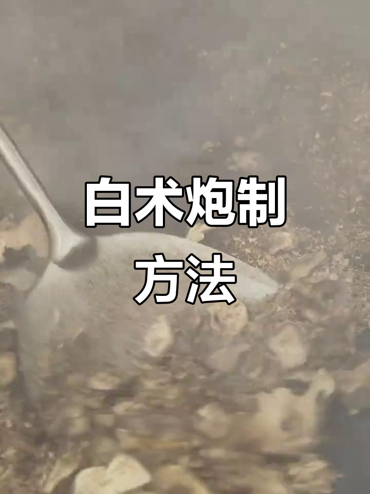 白术炮制技巧大揭秘:如何用麦麸炒出最佳效果