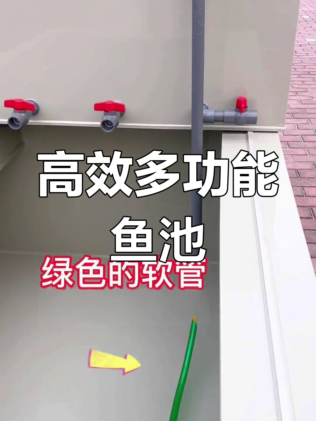 多功能锦鲤鱼池设计,高效过滤系统