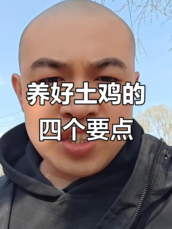 土鸡养殖四大关键技巧，轻松提高成活率