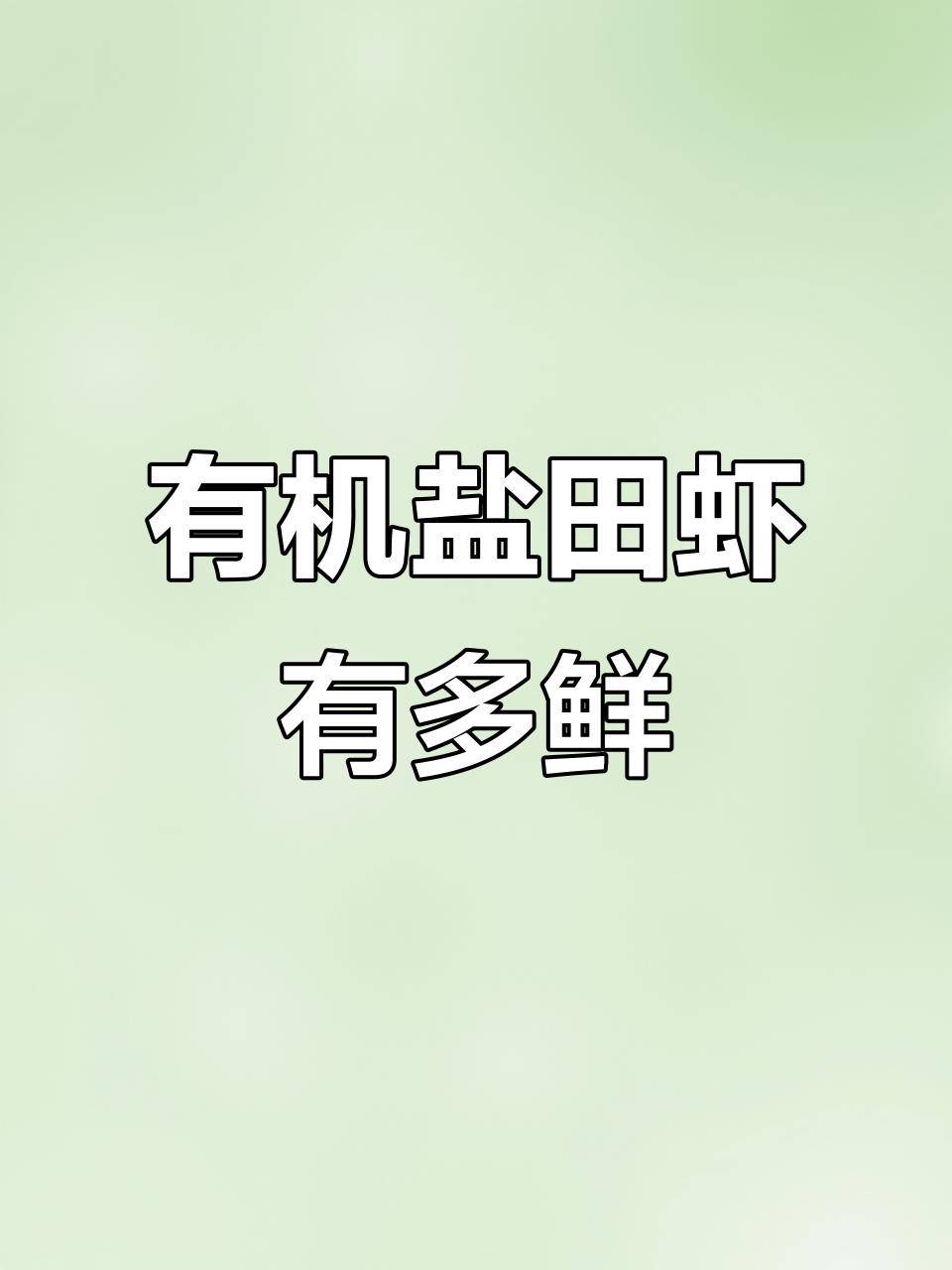 盐田虾的鲜美秘诀,拒绝卷曲更放心