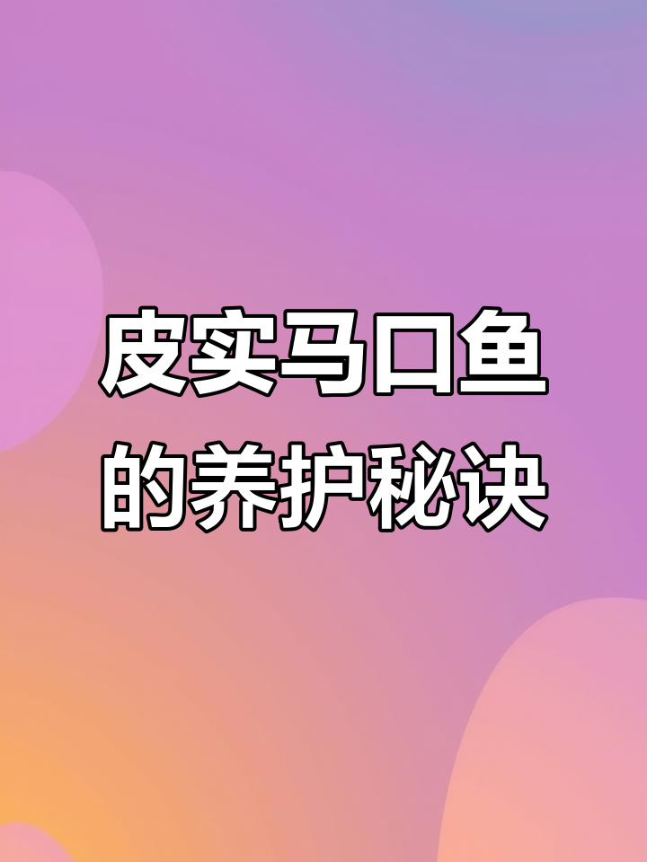 马口鱼养殖技巧:如何带回家并成功饲养