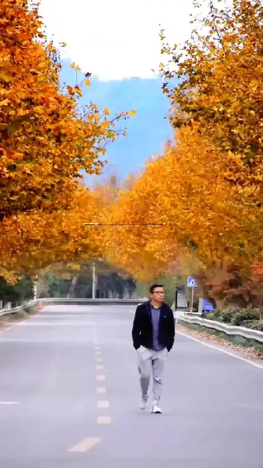 云天收夏色,木叶动秋声 立秋 立秋的第一杯奶茶 立秋文案